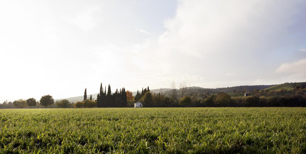 Cuevas Del Pino Turismo Rural Y Emocional Sl Villarrubia Luaran gambar