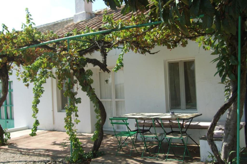 Cuevas Del Pino Turismo Rural Y Emocional Sl Villarrubia Bilik gambar
